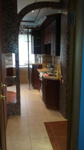Apartment Posadskaya, Kolomna, Kolomna